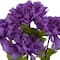 Purple Dahlia Bush by Ashland&#xAE;